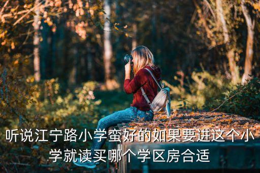 听说江宁路小学蛮好的如果要进这个小学就读买哪个学区房合适