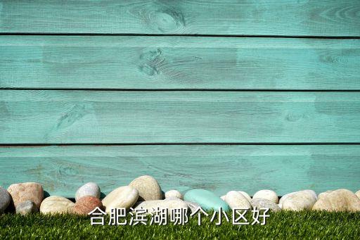 合肥滨湖哪个小区好