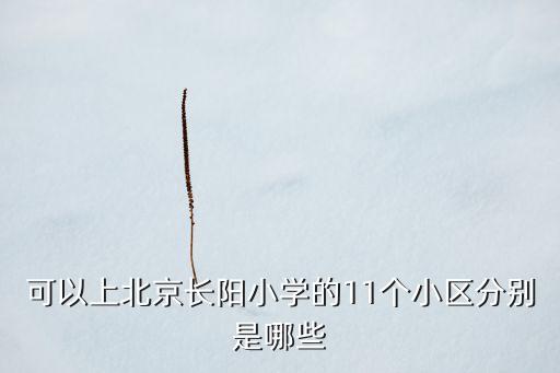 北京民办学校学区房有哪些，有朋友给推荐一下北京周边的学区房孩子要上学了