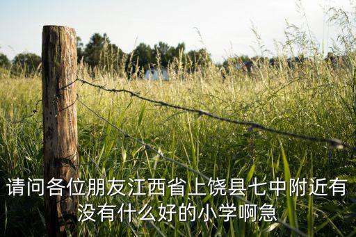 请问各位朋友江西省上饶县七中附近有没有什么好的小学啊急