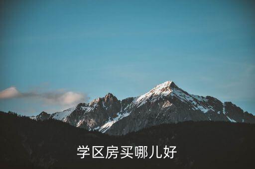 学区房买哪儿好