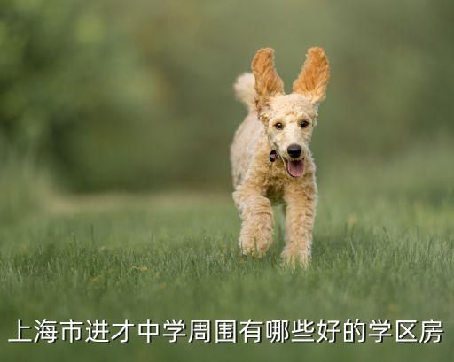上海市进才中学周围有哪些好的学区房