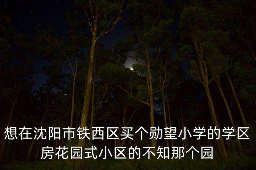 想在沈阳市铁西区买个勋望小学的学区房花园式小区的不知那个园