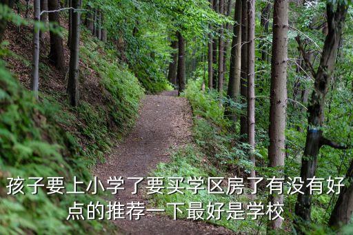 孩子要上小学了要买学区房了有没有好点的推荐一下最好是学校