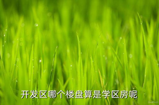 开发区哪个楼盘算是学区房呢