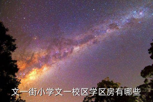 文一街小学文一校区学区房有哪些