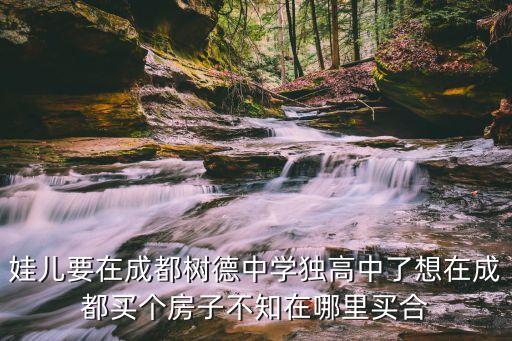 树德中学对应哪些学区房，娃儿要在成都树德中学独高中了想在成都买个房子不知在哪里买合
