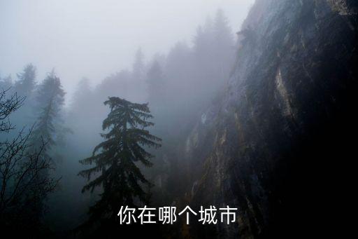 你在哪个城市