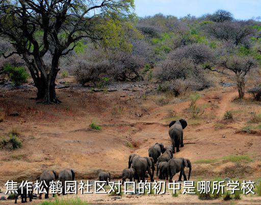 杨村松鹤园属于哪个学区房，焦作松鹤园社区对口的初中是哪所学校
