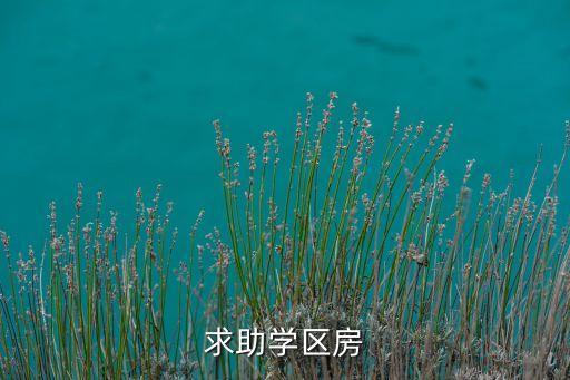 北湖院子是哪个区的学区房，常州新北区学区房是怎么划分的
