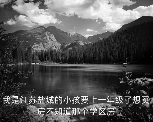 盐城城东几个学区房哪个好，我是江苏盐城的小孩要上一年级了想买房不知道那个学区房