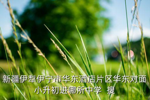 新疆伊犁伊宁市华东酒店片区华东对面小升初进哪所中学  搜