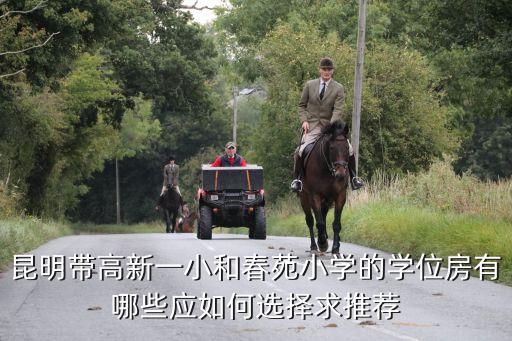 昆明带高新一小和春苑小学的学位房有哪些应如何选择求推荐