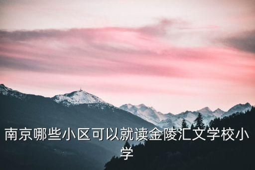 南京哪些小区可以就读金陵汇文学校小学