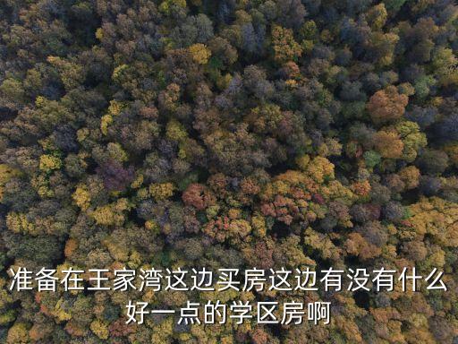 准备在王家湾这边买房这边有没有什么好一点的学区房啊