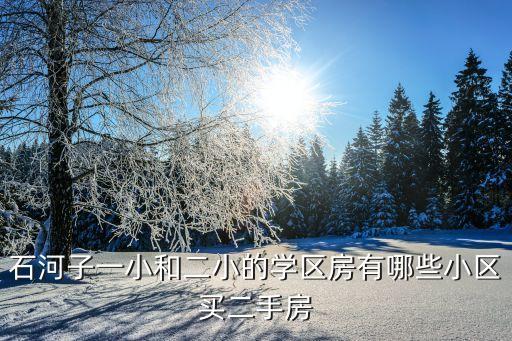 石河子一小八中学区房是哪个小区，石河子林溪郡9号有学区吗幼小中都是哪些感谢大神们知道的说一