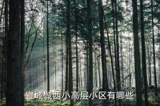 宣城城西小高层小区有哪些