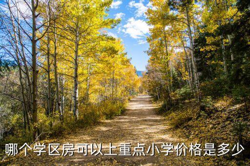 哪个学区房可以上重点小学价格是多少