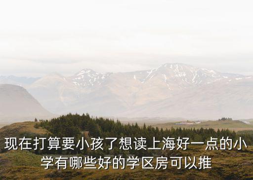 现在打算要小孩了想读上海好一点的小学有哪些好的学区房可以推
