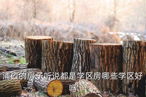 浦口的房子听说都是学区房哪些学区好吗