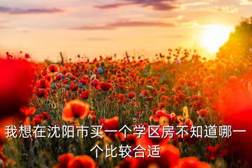 沈阳浑南学区房哪个比较好，沈阳房产楼盘 孩子三岁想在浑南找一个离好学校近的楼盘买房