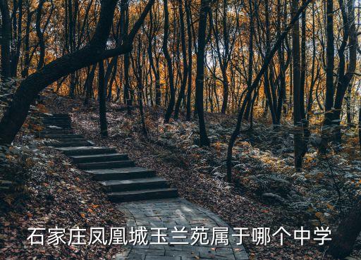 石家庄凤凰城玉兰苑属于哪个中学