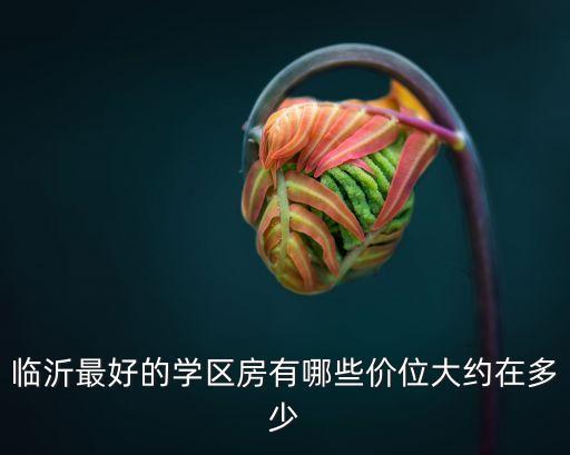 临沂最好的学区房有哪些价位大约在多少