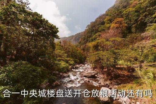 合一中央城楼盘送开仓放粮活动还有吗