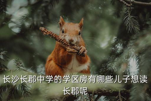 长沙长郡中学的学区房有哪些儿子想读长郡呢