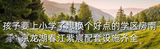 孩子要上小学了想换个好点的学区房南京龙湖春江紫宸配套设施齐全