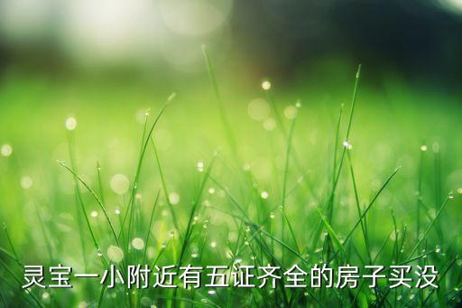 灵宝一小附近有五证齐全的房子买没