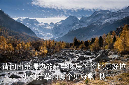 双学区房哪个小区最好，请问南京哪边的双学区房性价比更好拉小和芳草园哪个更好啊  搜