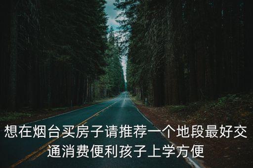 想在烟台买房子请推荐一个地段最好交通消费便利孩子上学方便