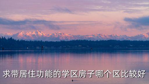求带居住功能的学区房子哪个区比较好