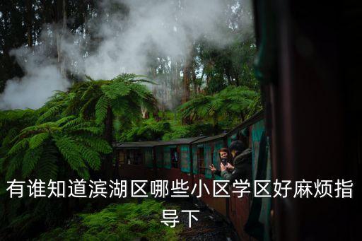 有谁知道滨湖区哪些小区学区好麻烦指导下