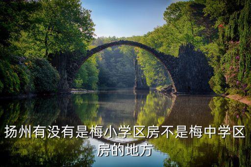 扬州哪个学校有学区房啊，扬州学区房划分