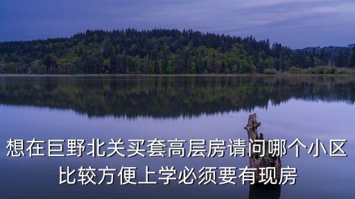 想在巨野北关买套高层房请问哪个小区比较方便上学必须要有现房