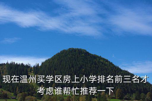 现在温州买学区房上小学排名前三名才考虑谁帮忙推荐一下