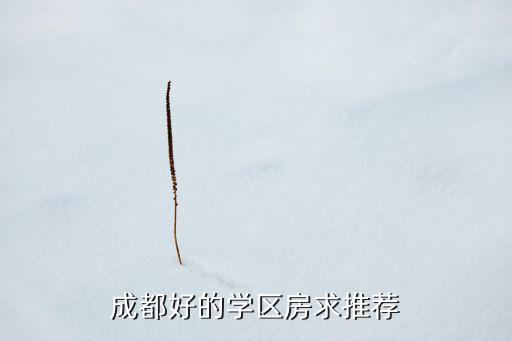 成都好的学区房求推荐