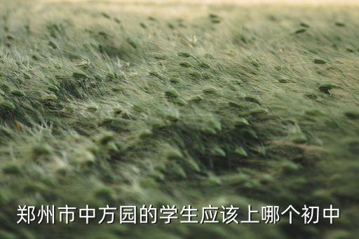 中方园学区房上哪个学校好，郑州市中方园的学生应该上哪个初中