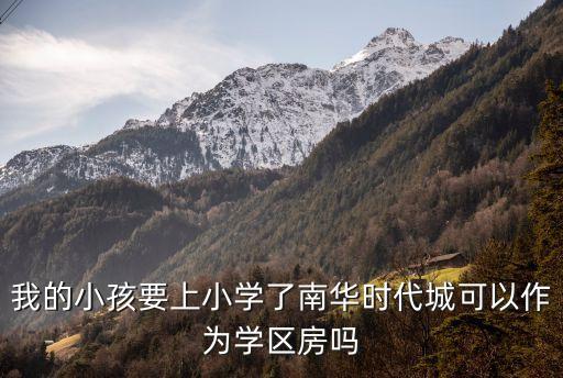 我的小孩要上小学了南华时代城可以作为学区房吗