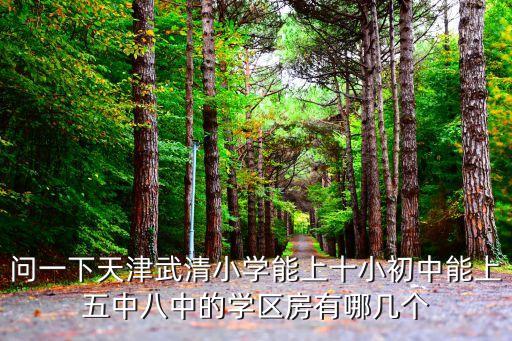 问一下天津武清小学能上十小初中能上五中八中的学区房有哪几个