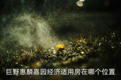 巨野惠麟嘉园经济适用房在哪个位置