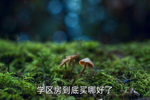 学区房到底买哪好了