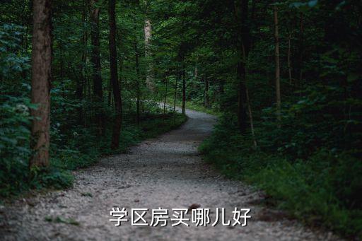 学区房买哪儿好