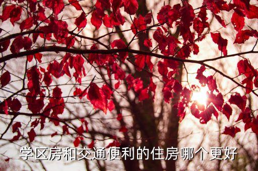 学区房和交通便利的住房哪个更好