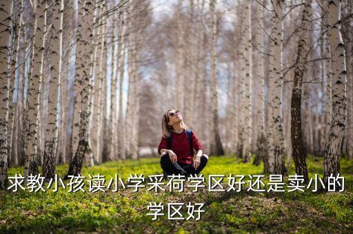 蒲州哪个学区房好，学区房重要吗在哪买学区房最好