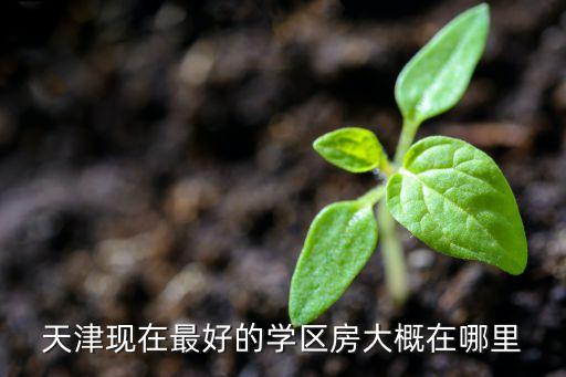 后宰门哪个小区学区房好，天津现在最好的学区房大概在哪里