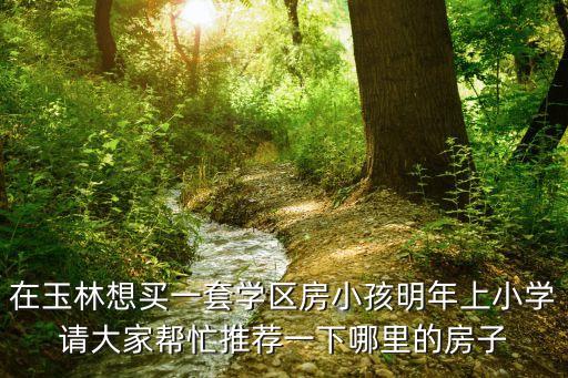 在玉林想买一套学区房小孩明年上小学请大家帮忙推荐一下哪里的房子