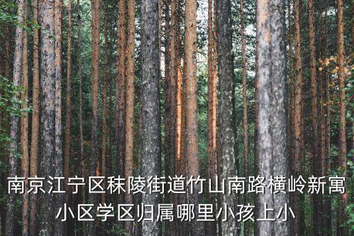 南京江宁区秣陵街道竹山南路横岭新寓小区学区归属哪里小孩上小